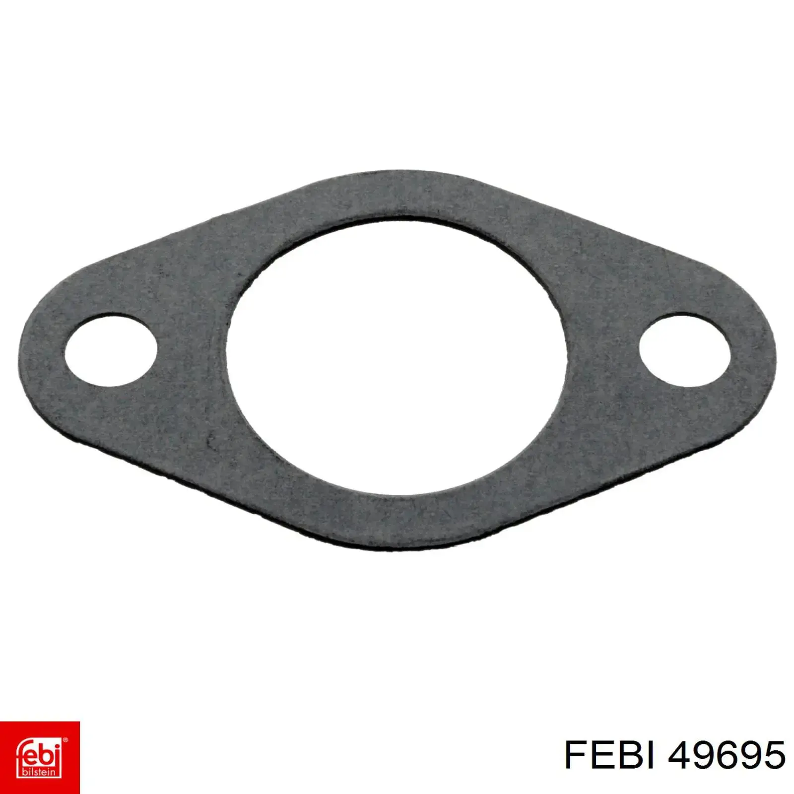 49695 Febi 