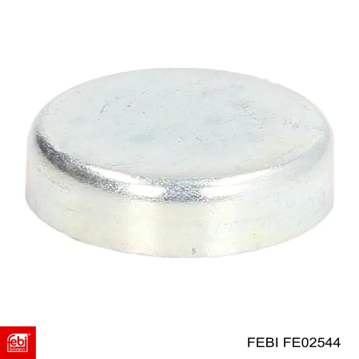 Заглушка ГБЦ FE02544 Febi