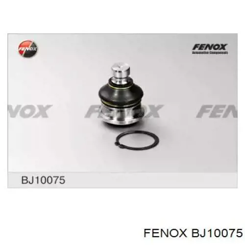 BJ10075 Fenox шаровая опора нижняя