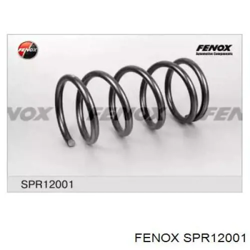 Задняя пружина SPR12001 Fenox