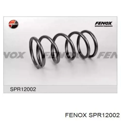 Задняя пружина SPR12002 Fenox