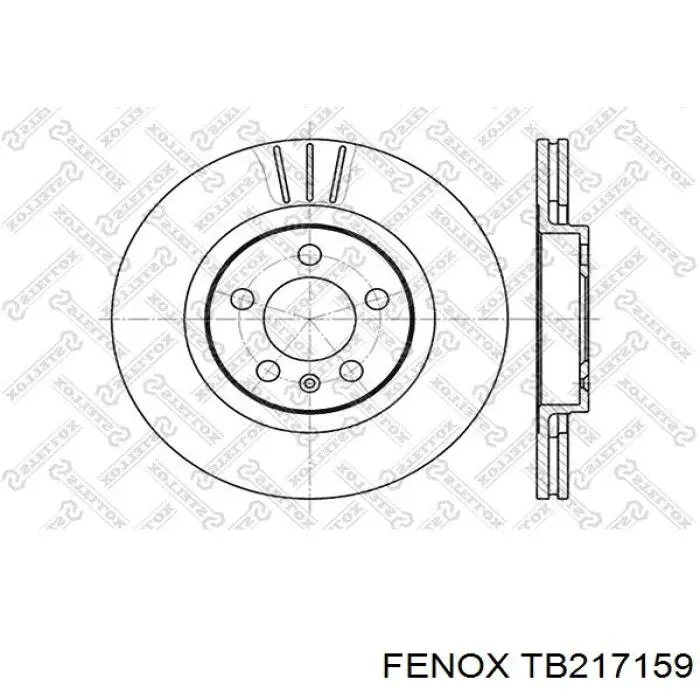 Передние тормозные диски TB217159 Fenox