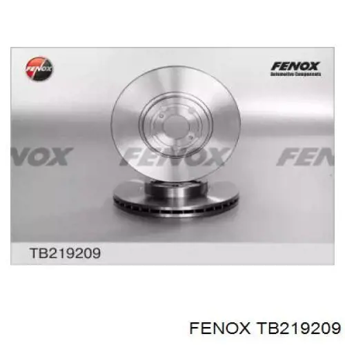 Передние тормозные диски TB219209 Fenox