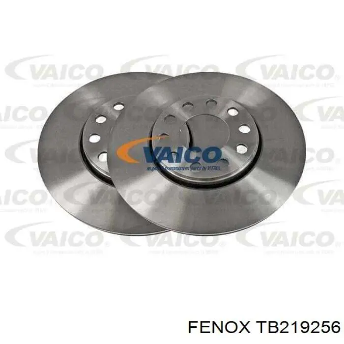 TB219256 Fenox диск тормозной передний
