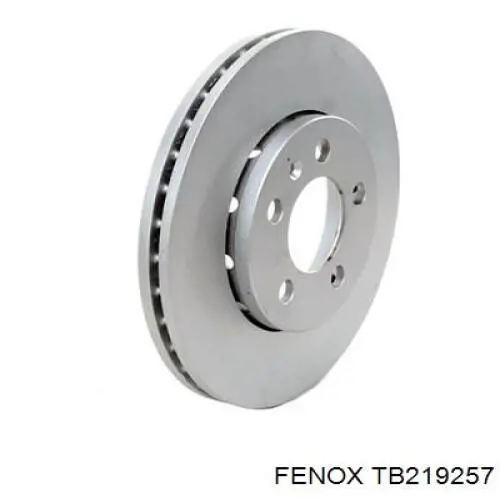 Передние тормозные диски TB219257 Fenox