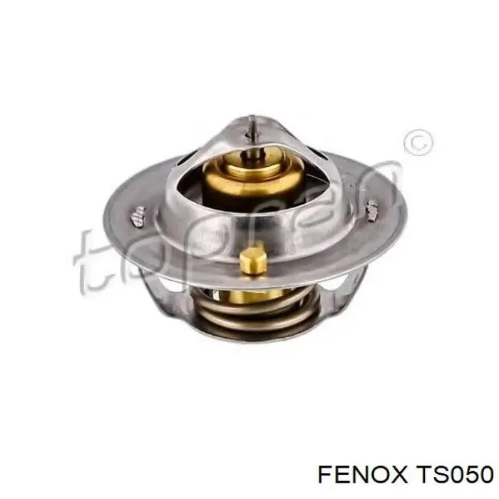 TS050 Fenox термостат