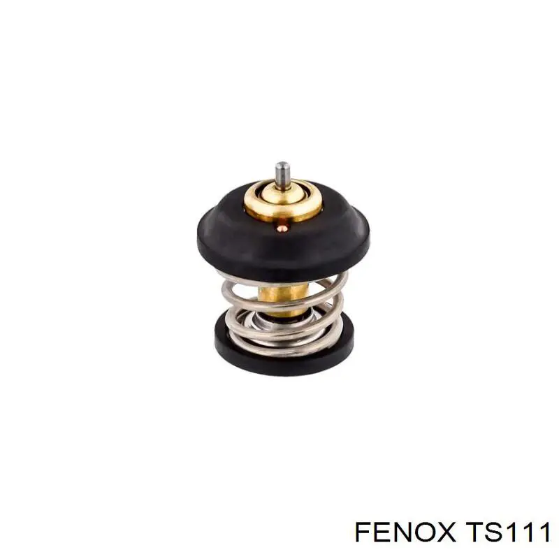 TS111 Fenox термостат