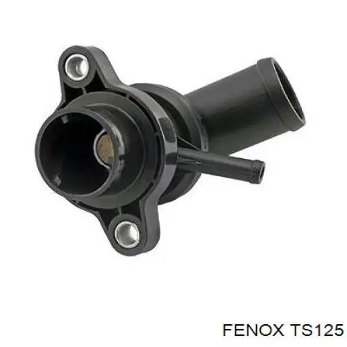 TS125 Fenox термостат