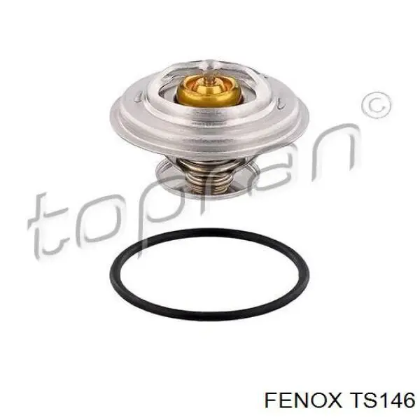 TS146 Fenox термостат