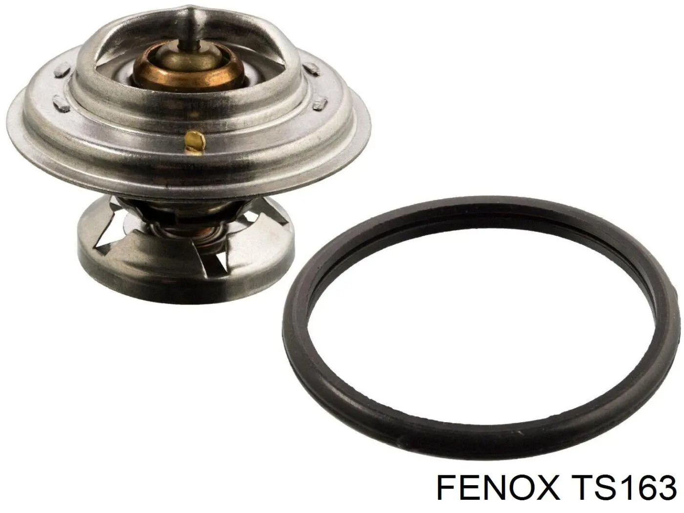 TS163 Fenox термостат
