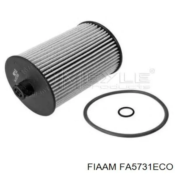 FA5731ECO Coopers FIAAM топливный фильтр