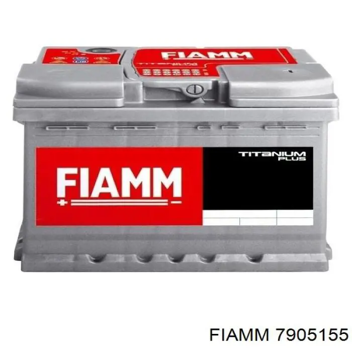  7905155 Fiamm