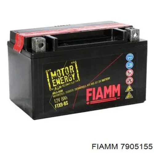 7905155 Fiamm 