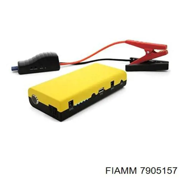 Купить 7905157 Fiamm 