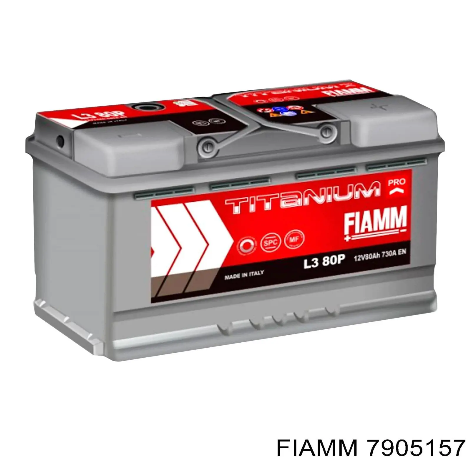 7905157 Fiamm 