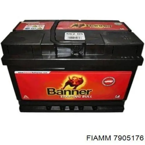 7905176 Fiamm 
