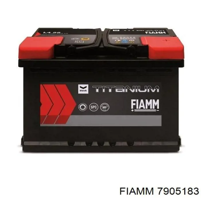 7905183 Fiamm 