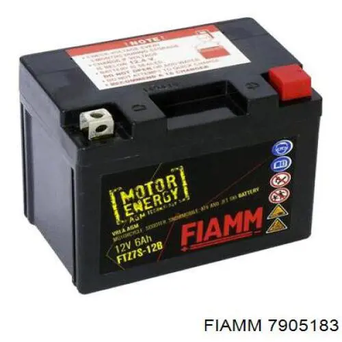 7905183 Fiamm 