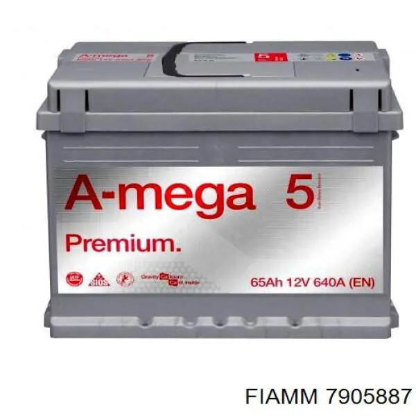7905887 Fiamm 