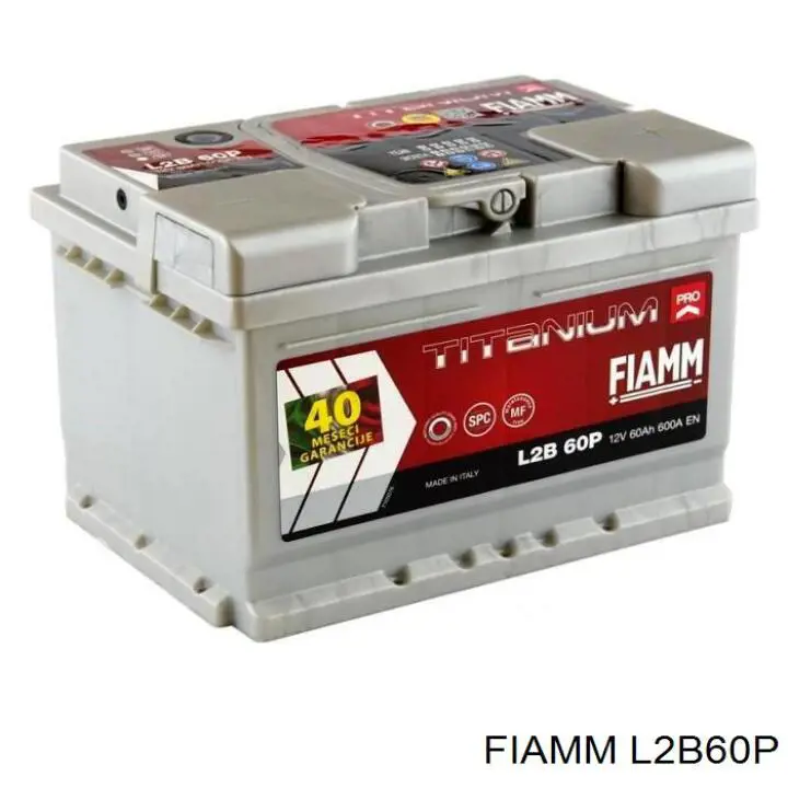Аккумуляторная батарея (АКБ) Fiamm L2B60P
