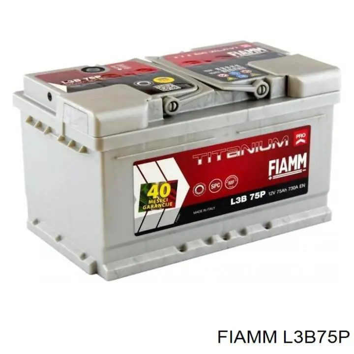 Аккумуляторная батарея (АКБ) Fiamm L3B75P