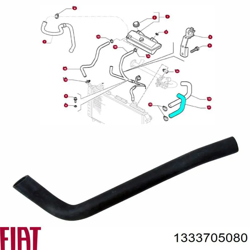 Нижний шлаг радиатора охлаждения FT61123 Fast
