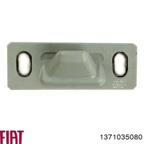 1371035080 Fiat/Alfa/Lancia grade superior de proteção da porta deslizante