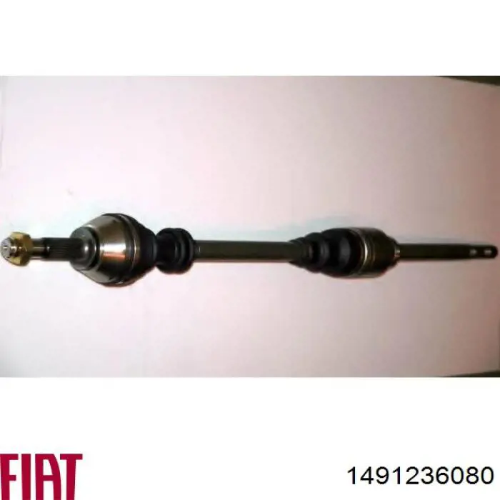 Привод передний правый Fiat/Alfa/Lancia 1491236080 цена, от 92.66 USD