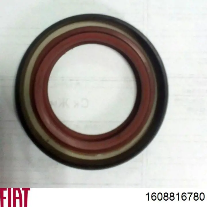 Сальник левой полуоси переднего моста Fiat/Alfa/Lancia 1608816780