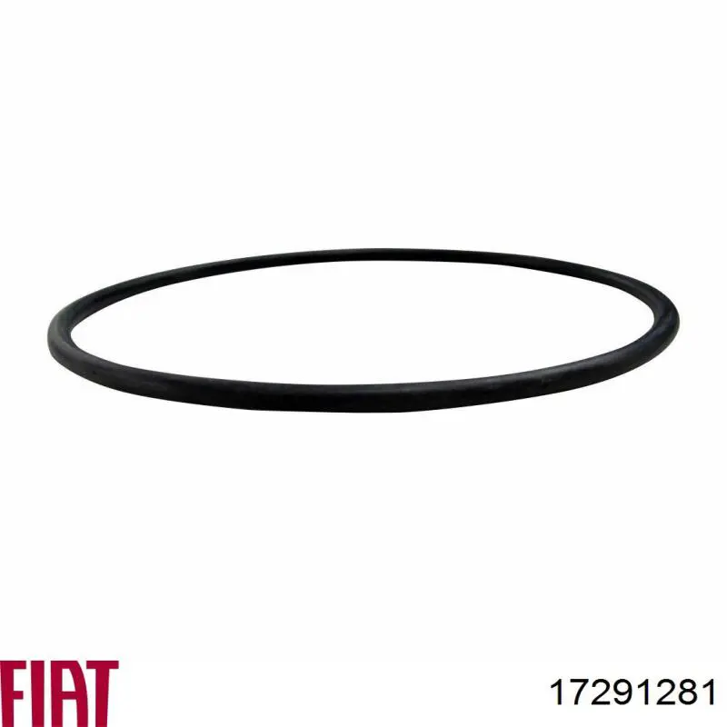 Помпа охлаждения Fiat/Alfa/Lancia 17291281 цена, от 3.82 USD