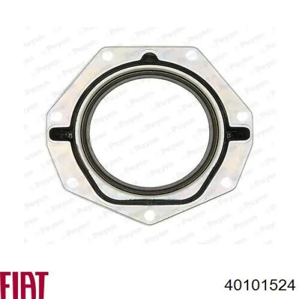 Сальник коленвала двигателя задний 40101524 Fiat/Alfa/Lancia