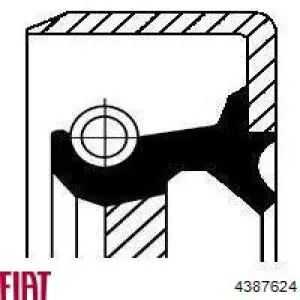 Прокладка ГБЦ Fiat/Alfa/Lancia 4387624 цена, от 22.45 USD