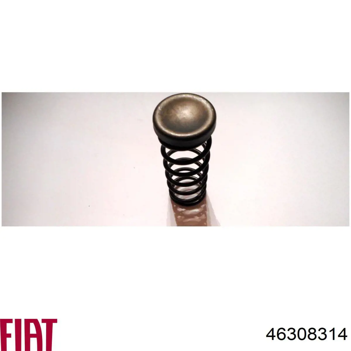 Пружина ШРУСа внутреннего (тришиба) Fiat/Alfa/Lancia 46308314 цена, от 12.20 USD
