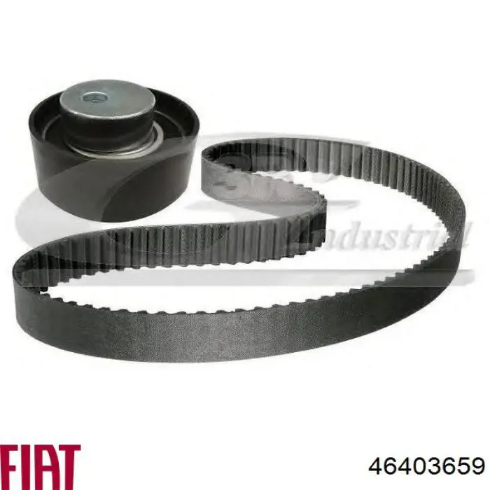 46403659 Fiat/Alfa/Lancia Correia do mecanismo de distribuição de gás