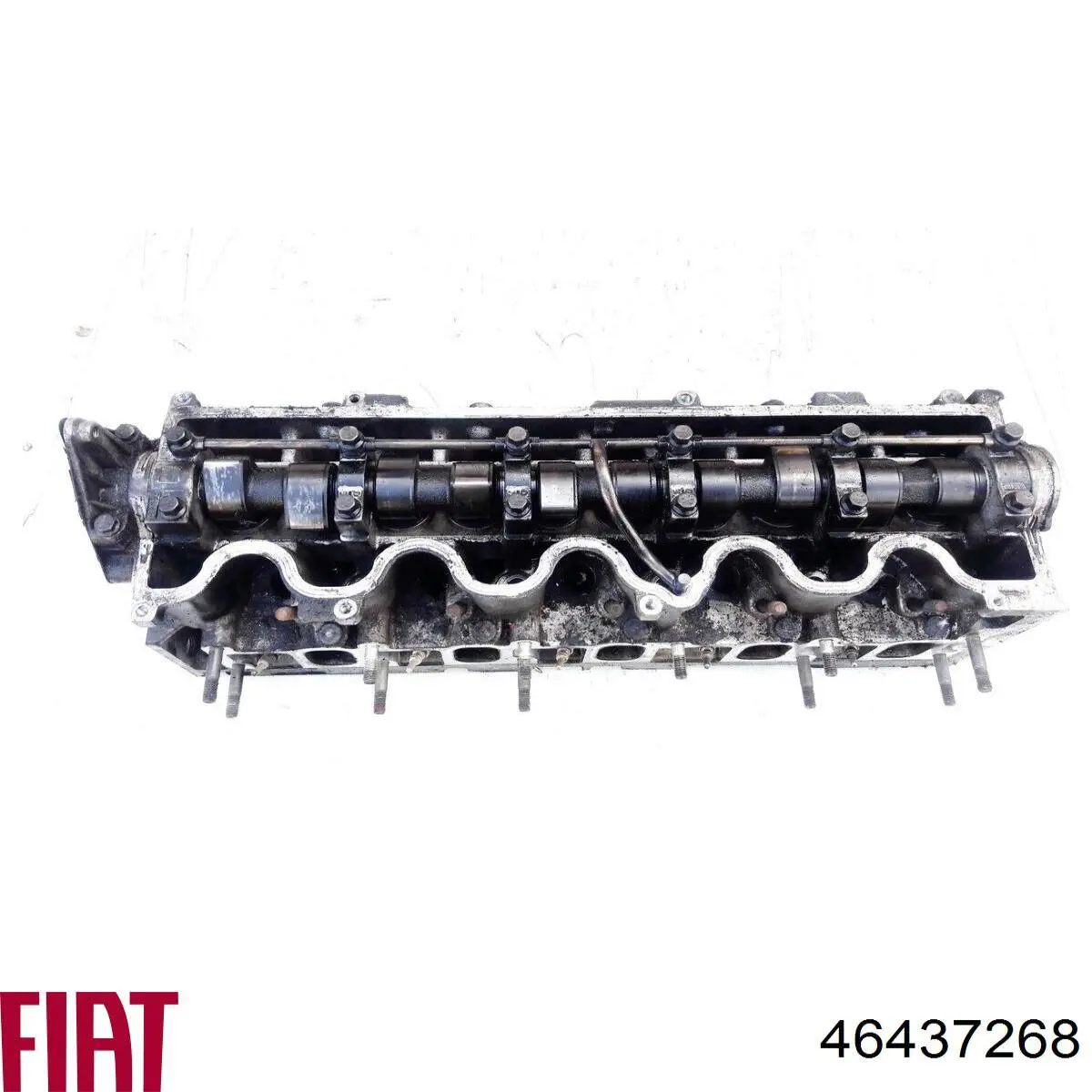 Головка двигателя Fiat/Alfa/Lancia 46437268 цена, от 89.99 USD