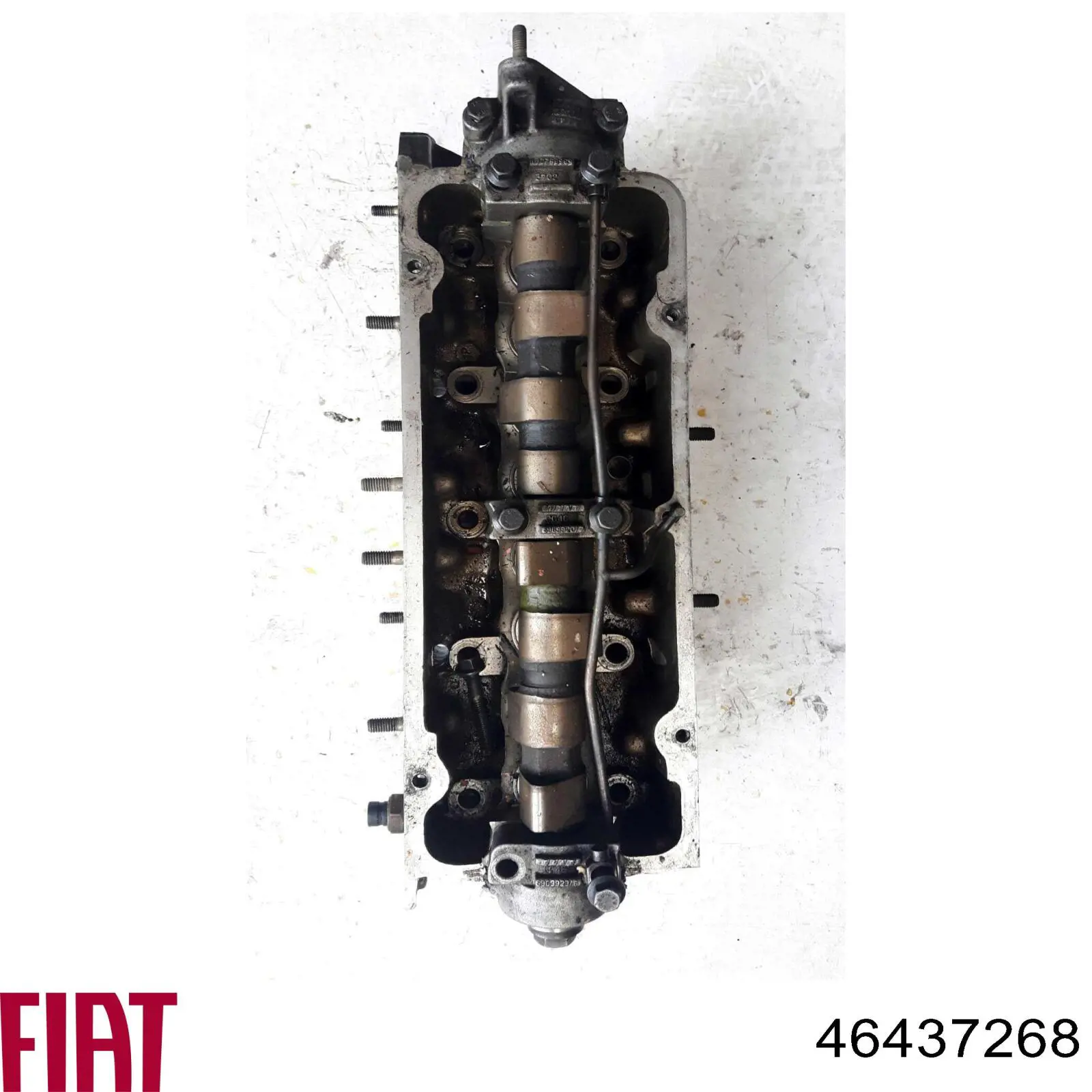 46437268 Fiat/Alfa/Lancia Головка блока цилиндров