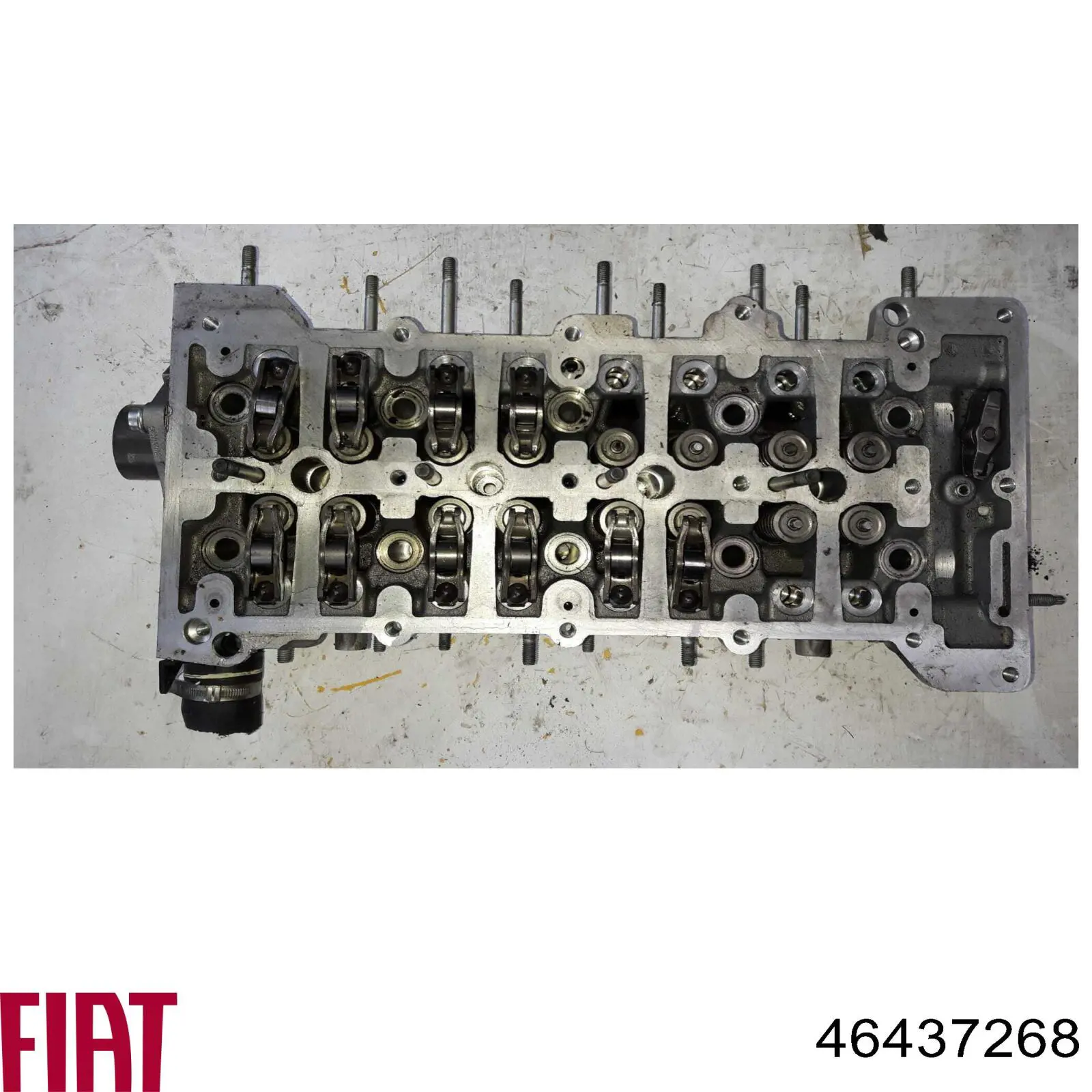 Купить 46437268 Fiat/Alfa/Lancia ГБЦ  двигателя