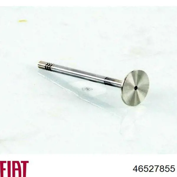 Впускной клапан на Fiat Brava  182