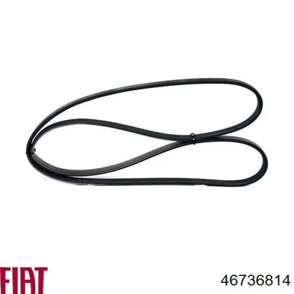 Клиновый ремень Fiat/Alfa/Lancia 46736814 цена, от 5.29 USD