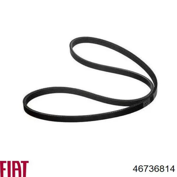 Купить 46736814 Fiat/Alfa/Lancia Ремень генератора