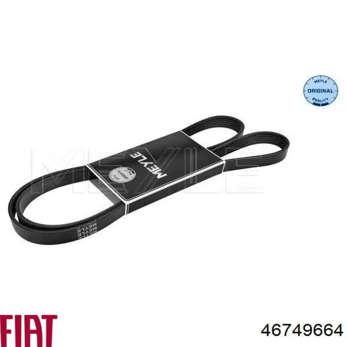 Клиновый ремень Fiat/Alfa/Lancia 46749664 цена, от 15.88 USD