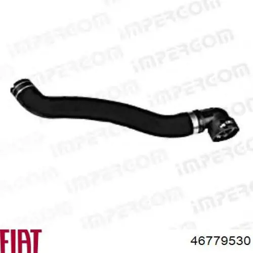 Шланг радиатора, нижний Fiat/Alfa/Lancia 46779530 цена, от 14.53 USD