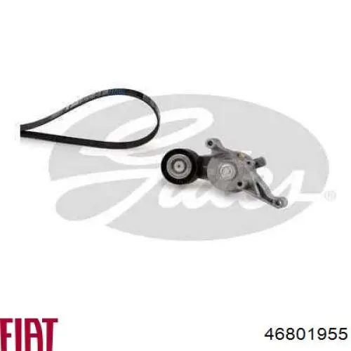 46801955 Fiat/Alfa/Lancia Поликлиновый ремень