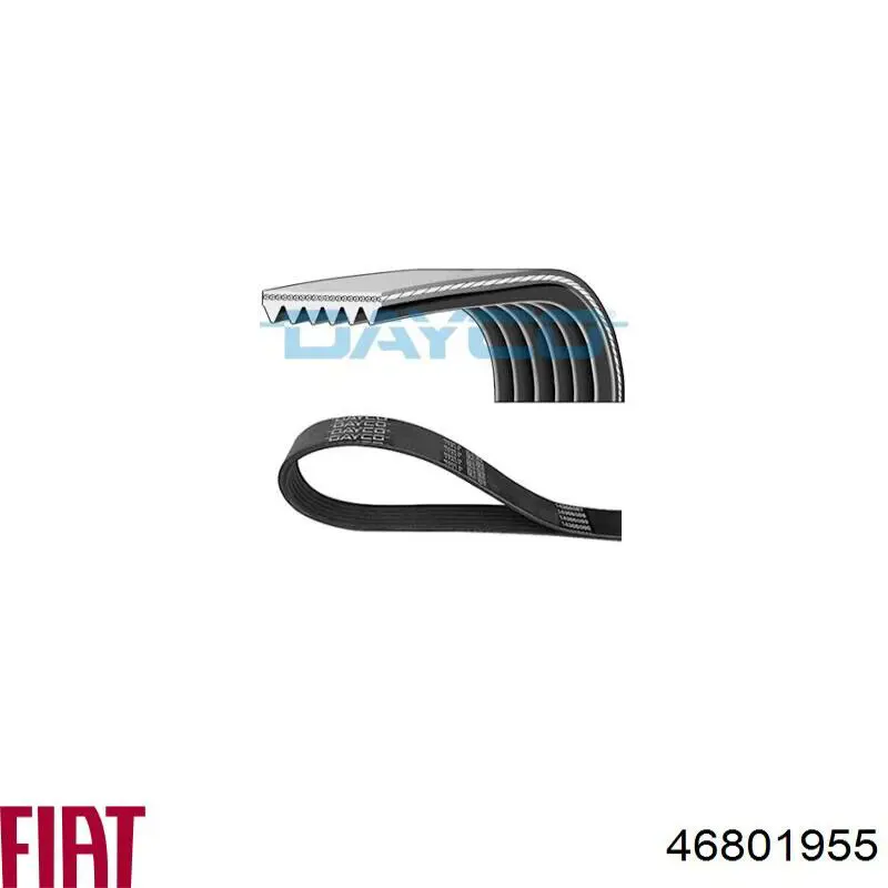 Клиновый ремень Fiat/Alfa/Lancia 46801955 цена, от 9.87 USD