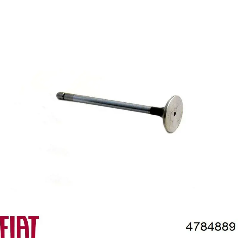 Купить 4784889 Fiat/Alfa/Lancia Выпускной клапан