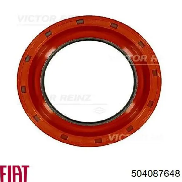 Купить 504087648 Iveco Передний сальник коленвала