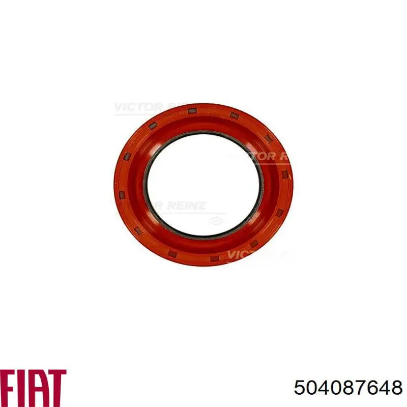 Сальник коленчатого вала Fiat/Alfa/Lancia 504087648 цена, от 16.95 USD