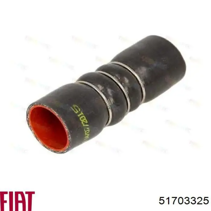 Купить 51703325 Fiat/Alfa/Lancia Патрубок интеркулера