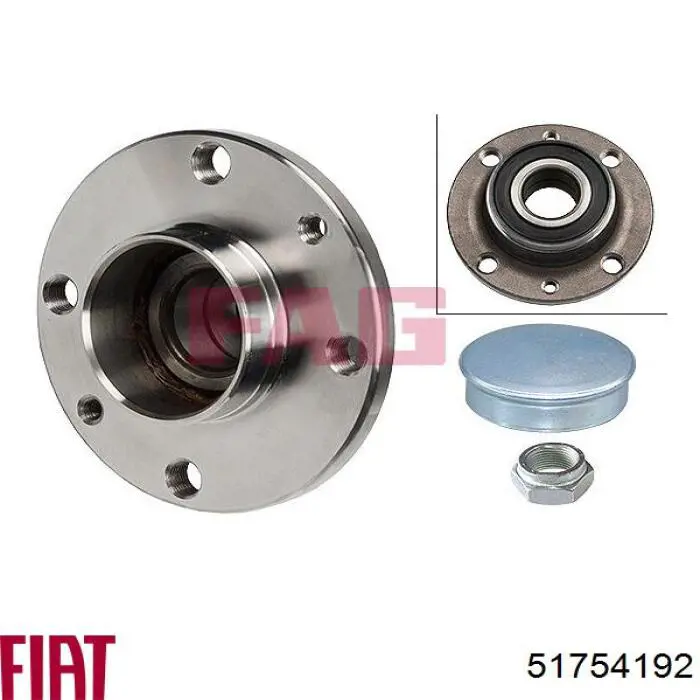 Купить 51754192 Fiat/Alfa/Lancia Задняя шпиндель