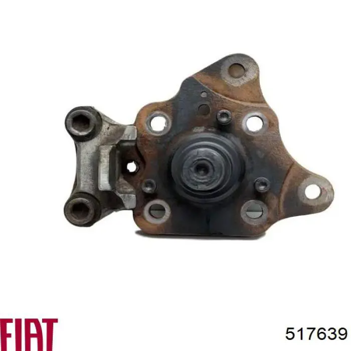 Купить 517639 Peugeot/Citroen Цапфа - поворотный кулак задний, правый